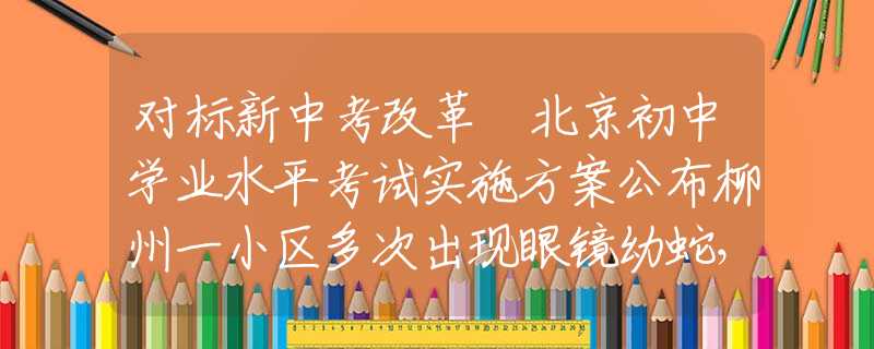 對標(biāo)新中考改革 北京初中學(xué)業(yè)水平考試實(shí)施方案公布柳州一小區(qū)多次出現(xiàn)眼鏡幼蛇，大蛇蹤跡成謎，居民心生憂慮：莫非已成蛇窩？