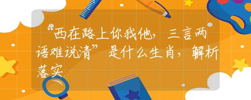 “西在路上你我他，三言兩語難說清”是什么生肖，解析落實