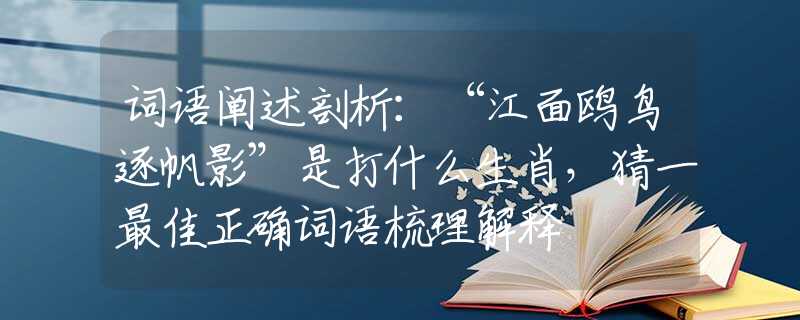 詞語闡述剖析：“江面鷗鳥逐帆影”是打什么生肖，猜一最佳正確詞語梳理解釋