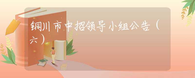 銅川市中招領導小組公告（六）