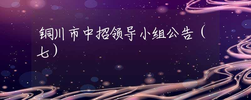 銅川市中招領(lǐng)導(dǎo)小組公告（七）