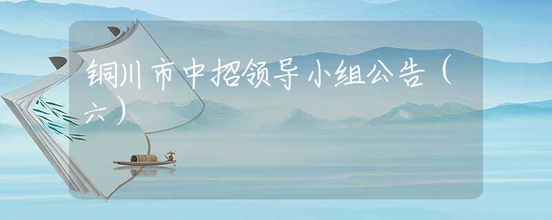 銅川市中招領(lǐng)導(dǎo)小組公告（六）